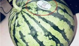 最近网红吃瓜群,揭秘娱乐圈幕后风云